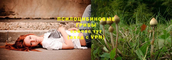 круглые Нефтекумск