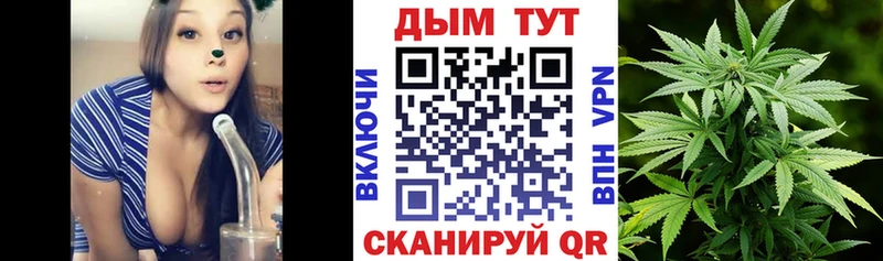 Каннабис Amnesia  Покачи 